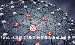 TPWallet崩溃了？教你如何轻