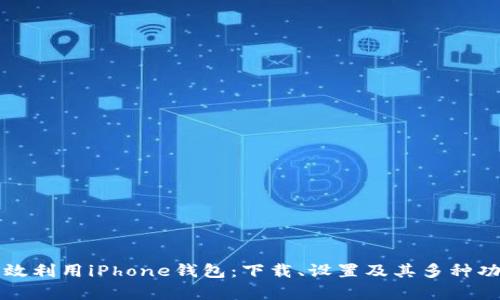 如何高效利用iPhone钱包：下载、设置及其多种功能解析