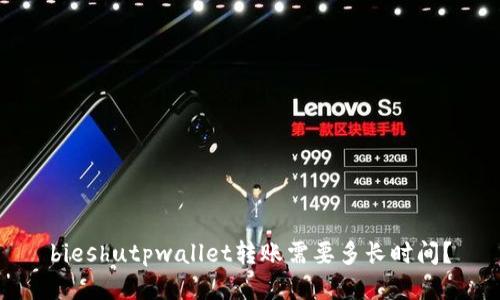 bieshutpwallet转账需要多长时间？