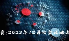虚拟币投资：2023年12月出