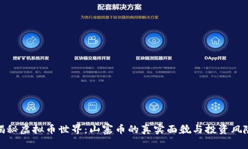 揭秘虚拟币世界：山寨币的真实面貌与投资风险