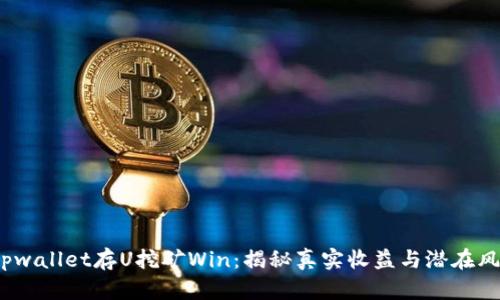  tpwallet存U挖矿Win：揭秘真实收益与潜在风险