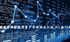 当然可以，FIL（Filecoin）和