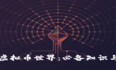 如何顺利进入虚拟币世界