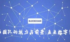 探索虚拟币团队的魅力与