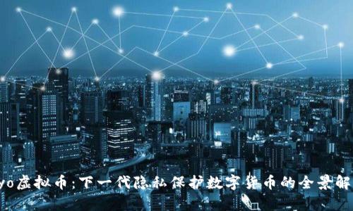 Ryo虚拟币：下一代隐私保护数字货币的全景解析