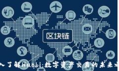   深入了解Huobi：数字资产