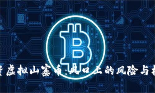 投资虚拟山寨币：风口上的风险与机遇