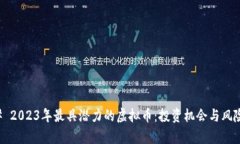 ### 2023年最具潜力的虚拟币