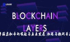 中国虚拟币的崛起与未来