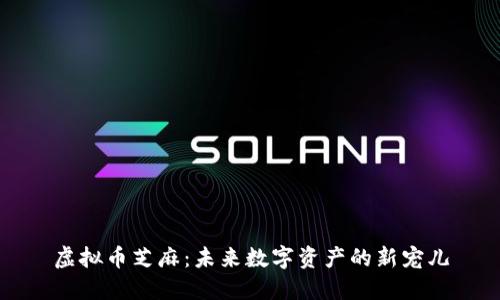 虚拟币芝麻：未来数字资产的新宠儿