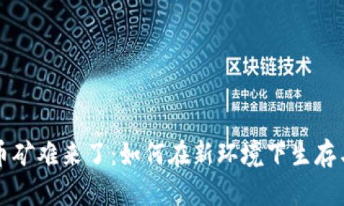 虚拟币矿难来了：如何在新环境下生存与发展