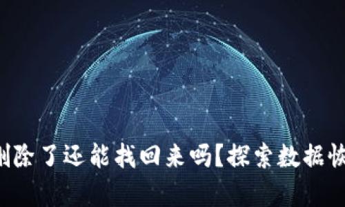  TPWallet删除了还能找回来吗？探索数据恢复的可能性