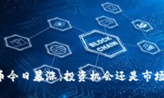 虚拟币今日暴涨：投资机