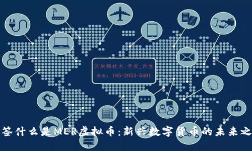 标签什么是MER虚拟币：新兴数字货币的未来之路