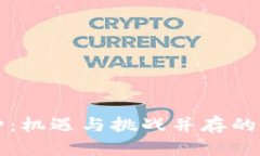 虚拟币首发币种：机遇与