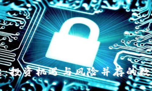 虚拟币的崛起：投资机遇与风险并存的数字经济新纪元