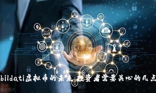 bildati虚拟币的未来：投资者需要关心的几点