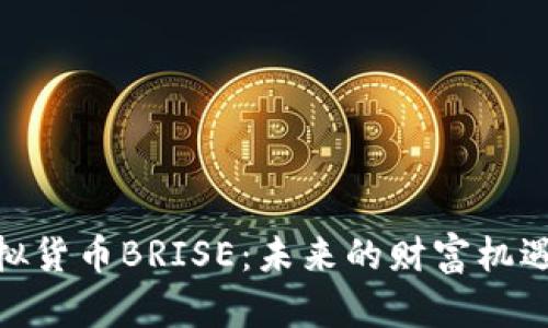 探索虚拟货币BRISE：未来的财富机遇与风险