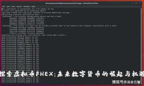 探索虚拟币FHEX：未来数字货币的崛起与机遇