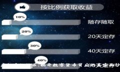 虚拟币的外衣：揭开数字