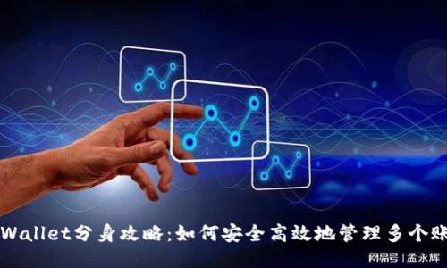 TPWallet分身攻略：如何安全高效地管理多个账户