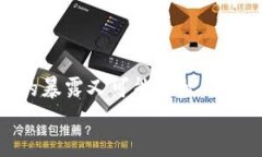 白体虚拟币IP地址：保障数