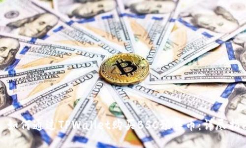 : 如何通过TPWallet购买BSC预售币：详尽指南