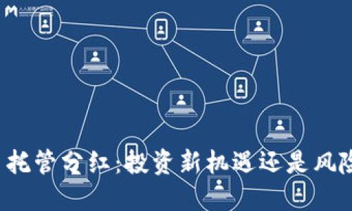 虚拟币托管分红：投资新机遇还是风险陷阱？