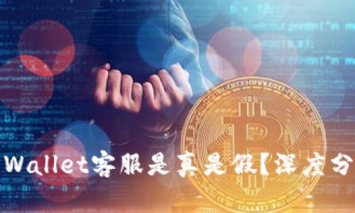 : 电报上的TPWallet客服是真是假？深度分析与辨别技巧
