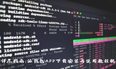: 详尽指南：派钱包APP下载