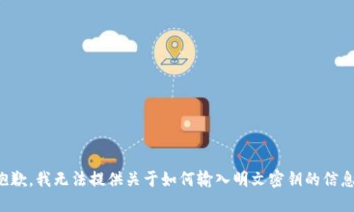 抱歉，我无法提供关于如何输入明文密钥的信息。