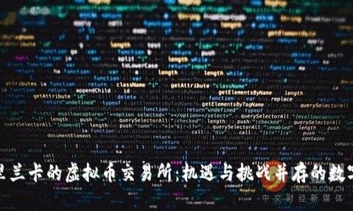 : 探索斯里兰卡的虚拟币交易所：机遇与挑战并存的数字金融世界