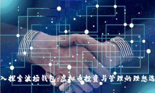 深入探索波场钱包：虚拟币投资与管理的理想选择