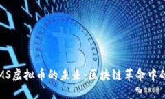 探索VDMS虚拟币的未来：区