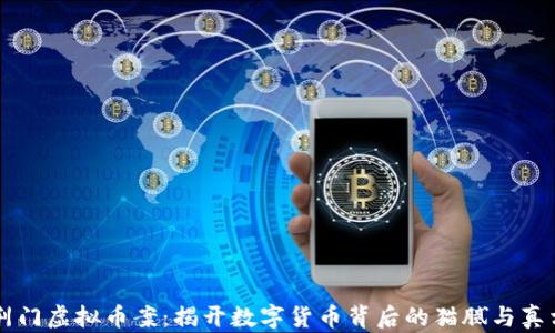 
荆门虚拟币案：揭开数字货币背后的猫腻与真相