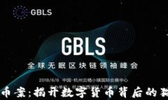 荆门虚拟币案：揭开数字