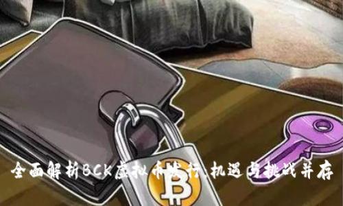 全面解析BCK虚拟币发行：机遇与挑战并存
