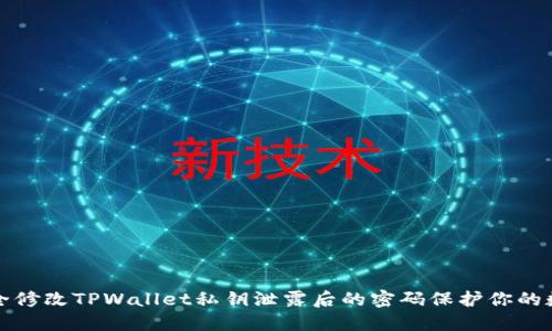 如何安全修改TPWallet私钥泄露后的密码保护你的数字资产