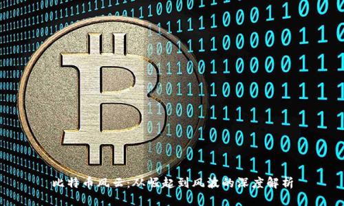 比特币风云：从崛起到风波的深度解析