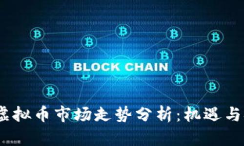 2024年虚拟币市场走势分析：机遇与挑战并存