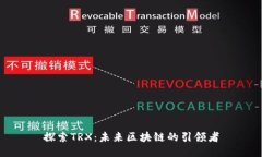 探索TRX：未来区块链的引