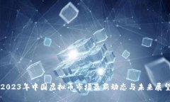 2023年中国虚拟币市场最新