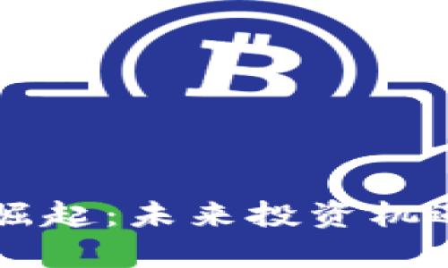 虚拟货币的崛起：未来投资机遇与风险解析