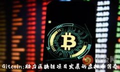  Gitcoin：助力区块链项目发