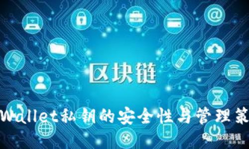 TPWallet私钥的安全性与管理策略