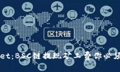 解密TPWallet：BSC链提现矿工