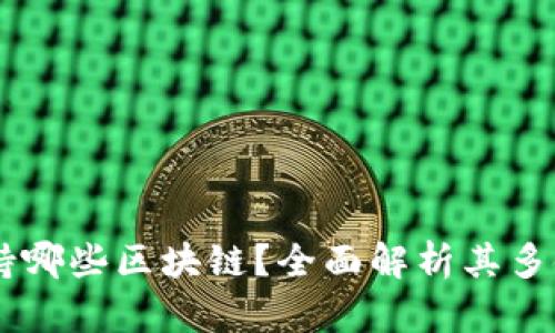 TPWallet支持哪些区块链？全面解析其多链功能与应用
