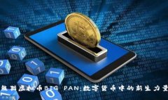 熊猫虚拟币BIG PAN：数字货