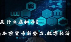 SGC币是什么虚拟币？SGC币